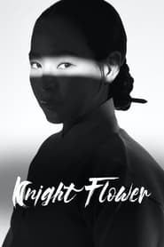 Download Knight Flower (Season 1) Kdrama [S01E02 Added] {Korean With English Subtitles} WeB-DL 720p [350MB] || 1080p [2GB]